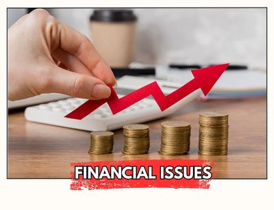 Psychic Balaji in USA